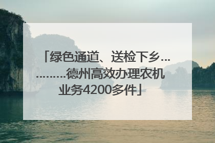 绿色通道、送检下乡…………德州高效办理农机业务4200多件