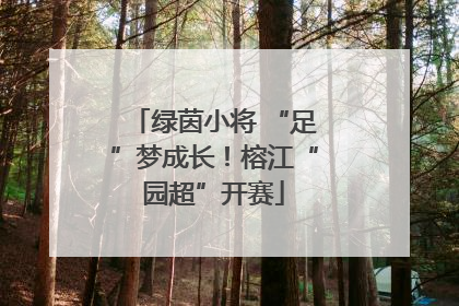 绿茵小将 “足”梦成长！榕江“园超”开赛