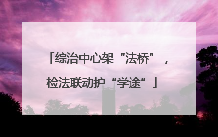 综治中心架“法桥”，检法联动护“学途”