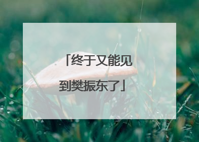 终于又能见到樊振东了