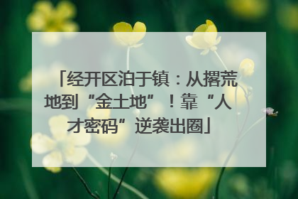 经开区泊于镇：从撂荒地到“金土地”！靠“人才密码”逆袭出圈