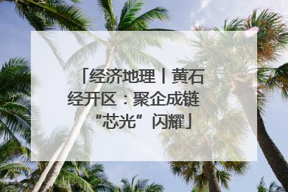 经济地理丨黄石经开区：聚企成链“芯光”闪耀
