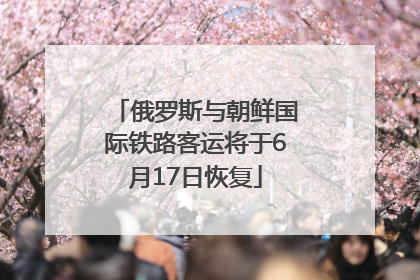 俄罗斯与朝鲜国际铁路客运将于6月17日恢复