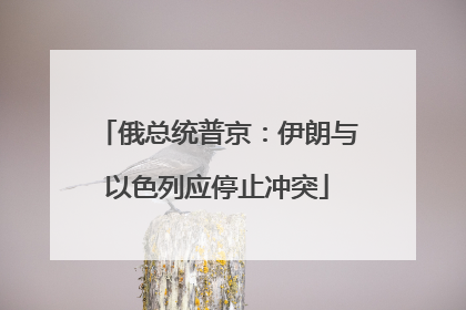 俄总统普京：伊朗与以色列应停止冲突