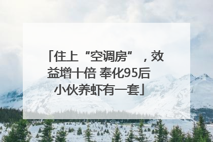 住上“空调房”，效益增十倍 奉化95后小伙养虾有一套