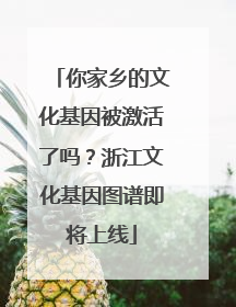 你家乡的文化基因被激活了吗？浙江文化基因图谱即将上线