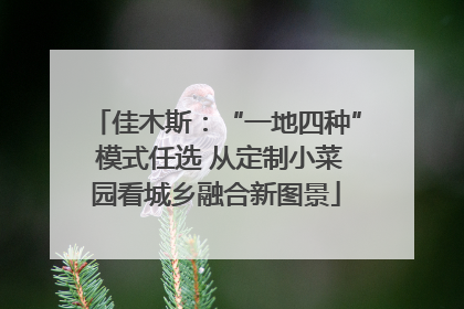 佳木斯：“一地四种” 模式任选 从定制小菜园看城乡融合新图景