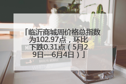 临沂商城周价格总指数为102.97点，环比下跌0.31点（5月29日—6月4日）