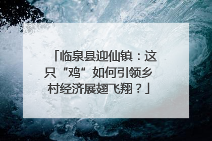 临泉县迎仙镇：这只“鸡”如何引领乡村经济展翅飞翔？