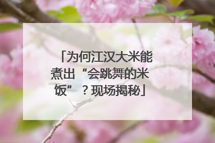 为何江汉大米能煮出“会跳舞的米饭”？现场揭秘