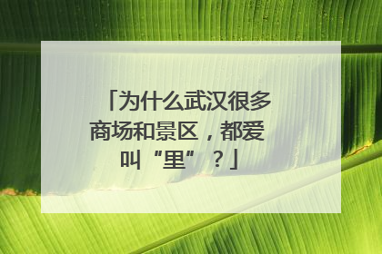 为什么武汉很多商场和景区，都爱叫“里”？