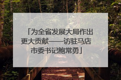 为全省发展大局作出更大贡献——访驻马店市委书记鲍常勇