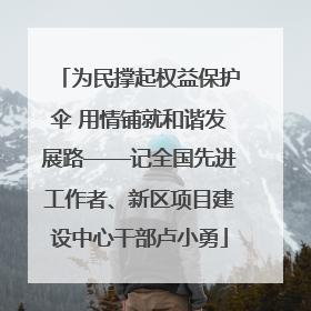 为民撑起权益保护伞 用情铺就和谐发展路——记全国先进工作者、新区项目建设中心干部卢小勇