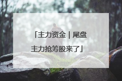 主力资金｜尾盘主力抢筹股来了