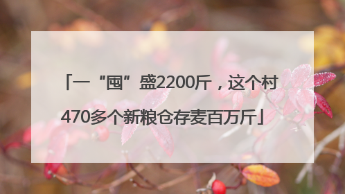 一“囤”盛2200斤，这个村470多个新粮仓存麦百万斤