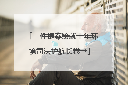 一件提案绘就十年环境司法护航长卷→