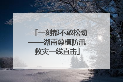 一刻都不敢松劲——湖南桑植防汛救灾一线直击