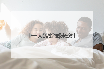 一大波螳螂来袭