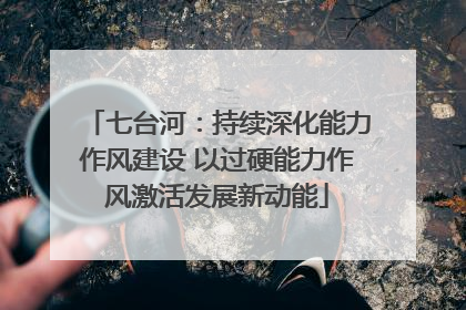 七台河：持续深化能力作风建设 以过硬能力作风激活发展新动能