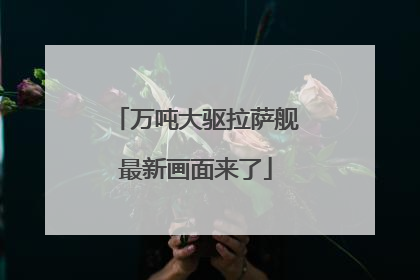 万吨大驱拉萨舰最新画面来了