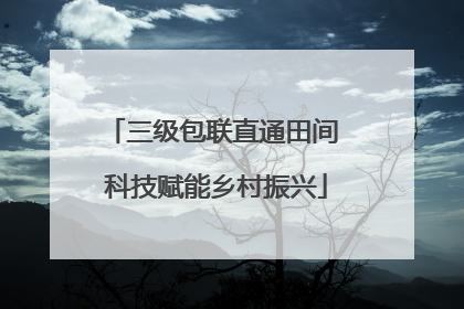 三级包联直通田间 科技赋能乡村振兴