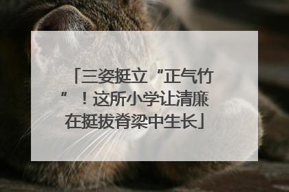 三姿挺立“正气竹”！这所小学让清廉在挺拔脊梁中生长