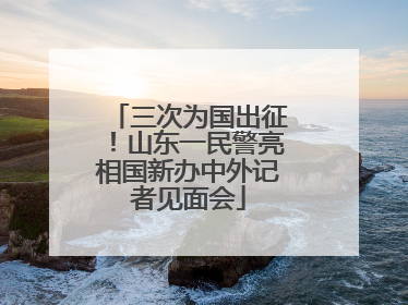 三次为国出征！山东一民警亮相国新办中外记者见面会