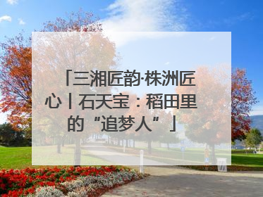 三湘匠韵·株洲匠心丨石天宝：稻田里的“追梦人”