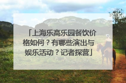 上海乐高乐园餐饮价格如何？有哪些演出与娱乐活动？记者探营