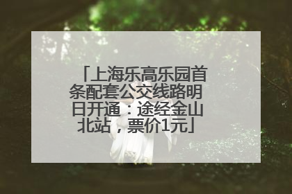 上海乐高乐园首条配套公交线路明日开通：途经金山北站，票价1元