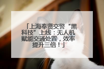 上海奉贤交警“黑科技”上线：无人机赋能交通处置，效率提升三倍！