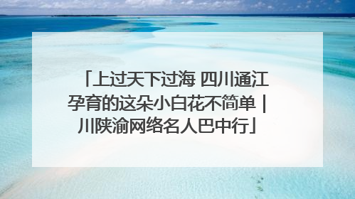 上过天下过海 四川通江孕育的这朵小白花不简单｜川陕渝网络名人巴中行