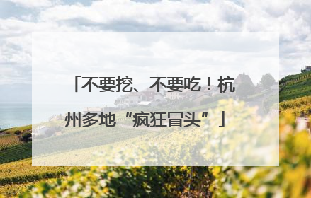 不要挖、不要吃！杭州多地“疯狂冒头”