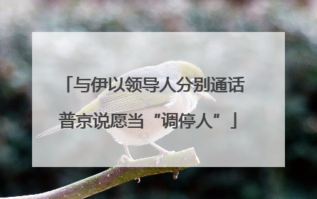 与伊以领导人分别通话 普京说愿当“调停人”