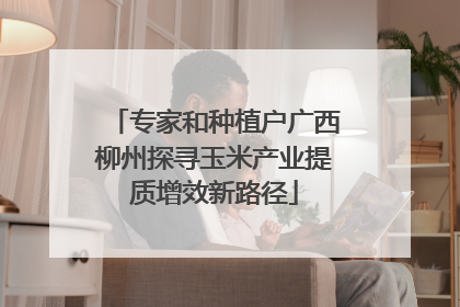专家和种植户广西柳州探寻玉米产业提质增效新路径