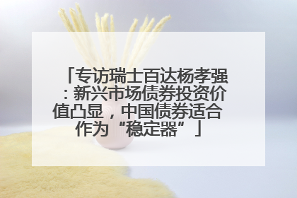 专访瑞士百达杨孝强：新兴市场债券投资价值凸显，中国债券适合作为“稳定器”