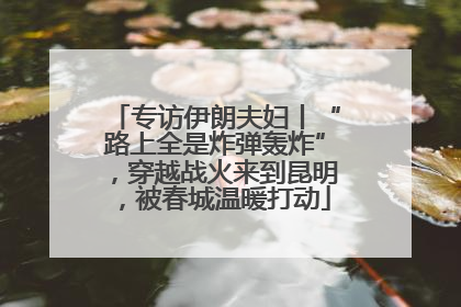 专访伊朗夫妇丨“路上全是炸弹轰炸”，穿越战火来到昆明，被春城温暖打动
