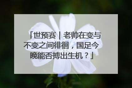 世预赛｜老帅在变与不变之间徘徊，国足今晚能否搏出生机？
