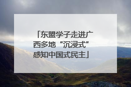 东盟学子走进广西多地“沉浸式”感知中国式民主