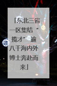 东北三省一区集结“揽才” 逾八千海内外博士奔赴而来
