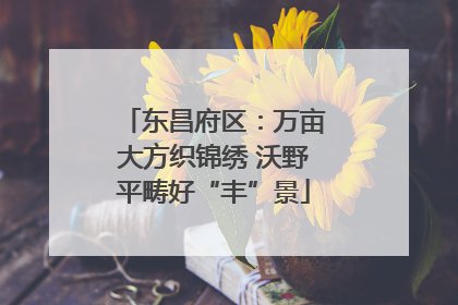 东昌府区：万亩大方织锦绣 沃野平畴好“丰”景