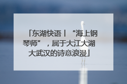 东湖快语丨“海上钢琴师”，属于大江大湖大武汉的诗意浪漫