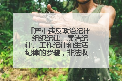 严重违反政治纪律、组织纪律、廉洁纪律、工作纪律和生活纪律的罗璇，非法收受他人巨额财物