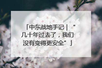 中东战地手记｜“几十年过去了，我们没有变得更安全”
