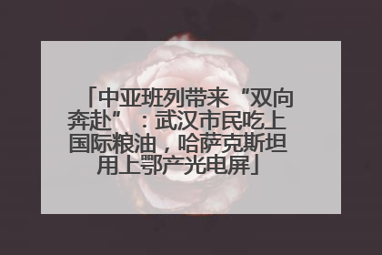 中亚班列带来“双向奔赴”：武汉市民吃上国际粮油，哈萨克斯坦用上鄂产光电屏