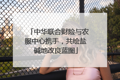 中华联合财险与农服中心携手，共绘盐碱地改良蓝图