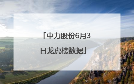 中力股份6月3日龙虎榜数据