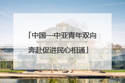 中国—中亚青年双向奔赴促进民心相通