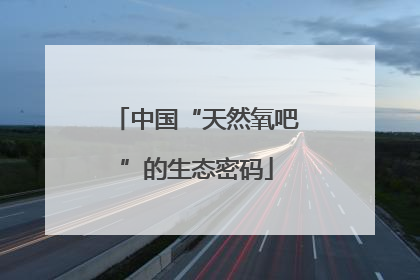 中国“天然氧吧”的生态密码