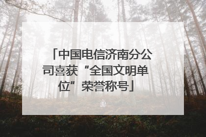中国电信济南分公司喜获“全国文明单位”荣誉称号
